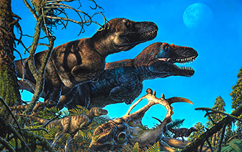 Artist's rendering of <em>Nanuqsaurus</em> (background standing), and the skull of <em>Pachyrhinosaurus</em> (foreground)