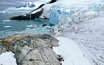 Previously ice-entombed dead black moss exposed on rocks along Cape Rasmussen on the Antarctic Peninsula